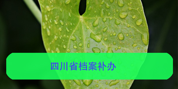 档案丢失，如何补办？