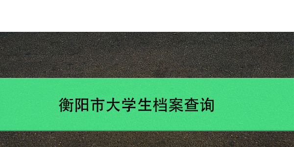 连州个人档案所地查询系统，如何快速定位？