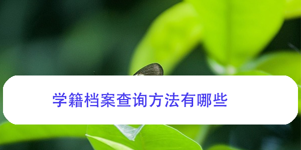 应届生国考中的优势，如何发挥最大潜力？