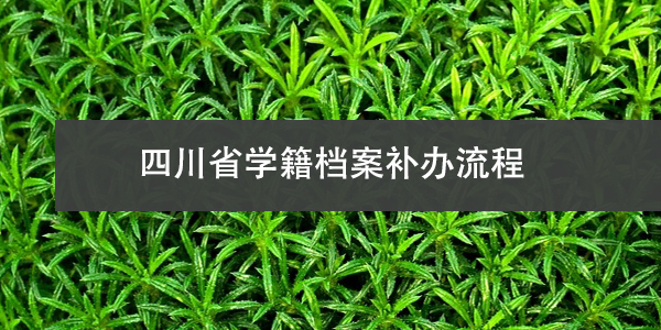 考编档案位置不明，如何快速查询？