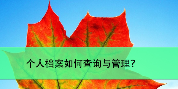 浙江省嘉兴市，个人档案如何查询与管理？