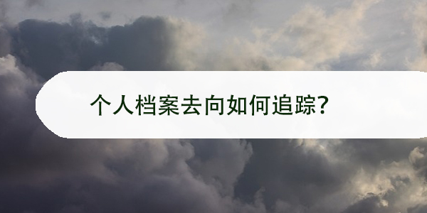 档案查询与管理，个人档案去向如何追踪？
