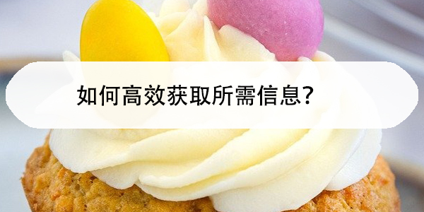 上海财经大学档案查询流程，如何高效获取所需信息？