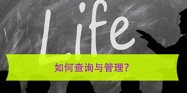 浙江省毕业生档案去向，如何查询与管理？