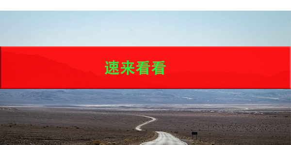 肥西个人档案查询，速来看看