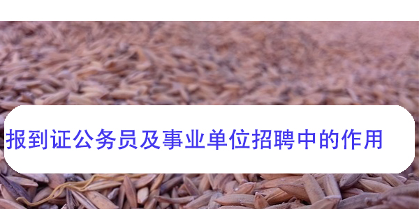 应届毕业生须知，报到证公务员及事业单位招聘中的作用