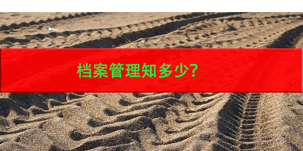单县大学生档案查询，档案管理知多少？