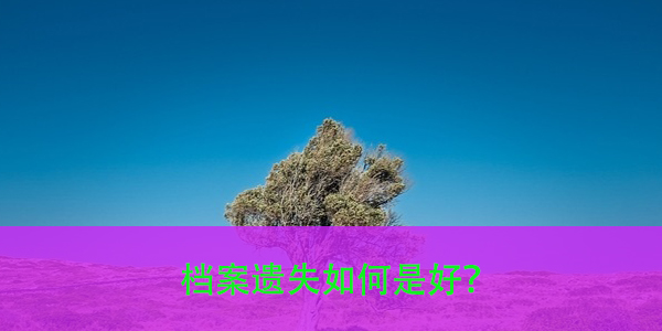 考研准备，档案遗失如何是好？