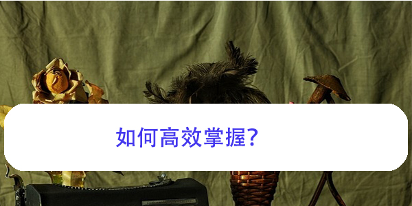 大连市大学毕业生档案查询流程，如何高效掌握？