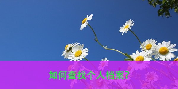 档案去向不明，如何查找个人档案？