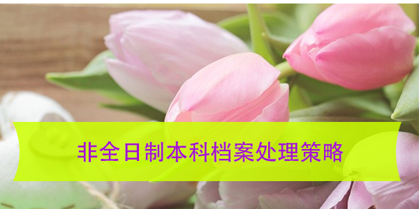 档案调动，非全日制本科档案处理策略