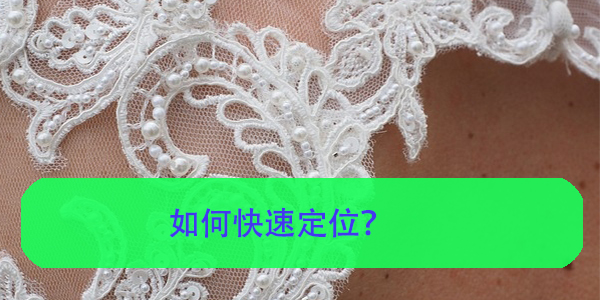 连州个人档案所地查询系统，如何快速定位？