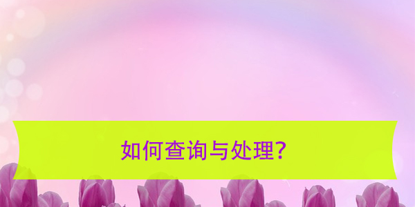 档案所地，如何查询与处理？