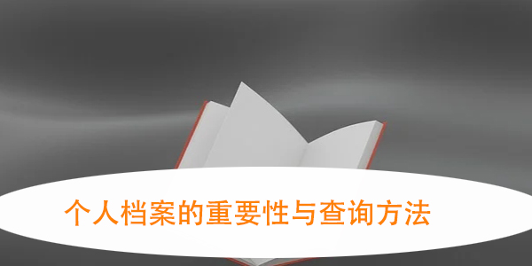 个人档案的重要性与查询方法，如何避免档案丢失的风险？
