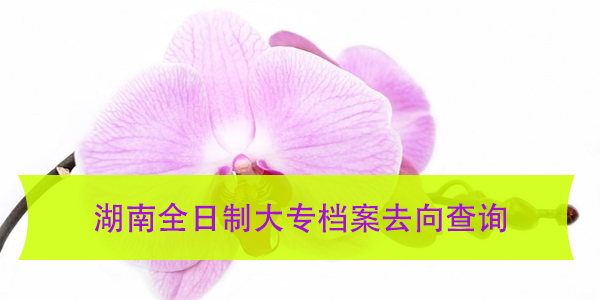 湖南全日制大专档案去向查询，如何找到你的档案？