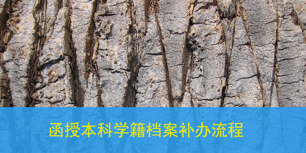 函授本科学籍档案补办流程，你了解吗？
