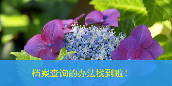齐齐哈尔大学生档案查询的办法找到啦！