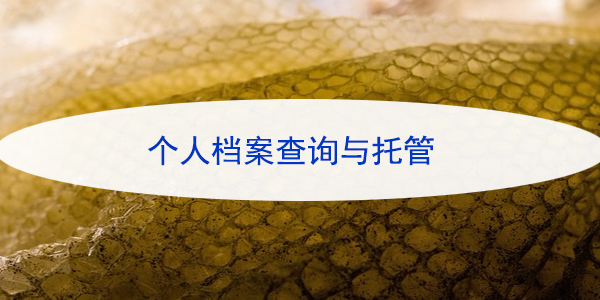 个人档案查询与托管，考公务员或考事业单位必备知识