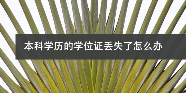 本科学历的学位证丢失了怎么办，如何补办？