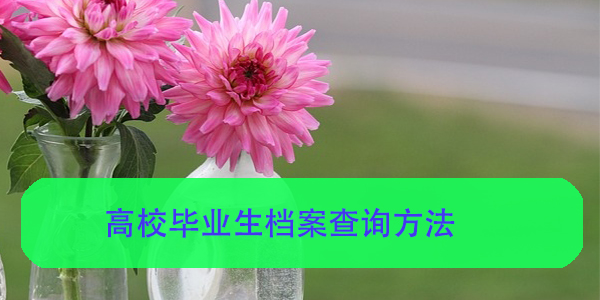 高校毕业生档案查询方法，你知道吗？