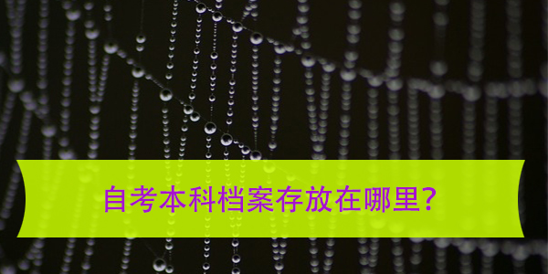 自考本科档案存放在哪里，如何妥善管理？