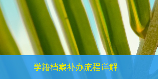 学籍档案补办流程详解，遇到问题如何解决？