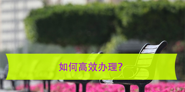 哈尔滨人才中心档案查询，如何高效办理？