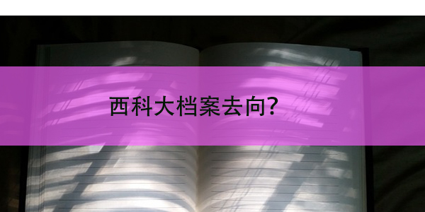 西科大档案去向，如何查询个人档案？