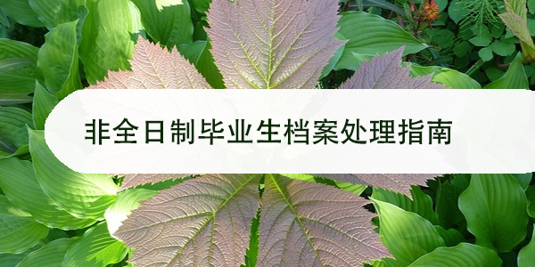 非全日制毕业生档案处理指南，如何确保档案安全有效？