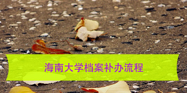 海南大学档案补办流程，丢失档案如何快速处理？