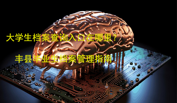 大学生档案查询入口在哪里？ 丰县毕业生档案管理指南