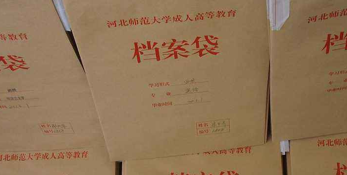个人档案查询系统凯发官方网站官网