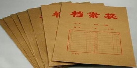 学信档案查询