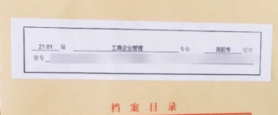 人才市场档案查询系统